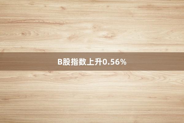 B股指数上升0.56%